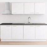 Keuken wit met kookplaat, afzuigkap, spoelbak en kraan en onderbouw koeler