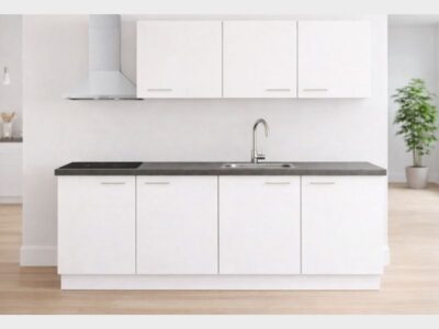 Keuken wit met kookplaat, afzuigkap, spoelbak en kraan en onderbouw koeler